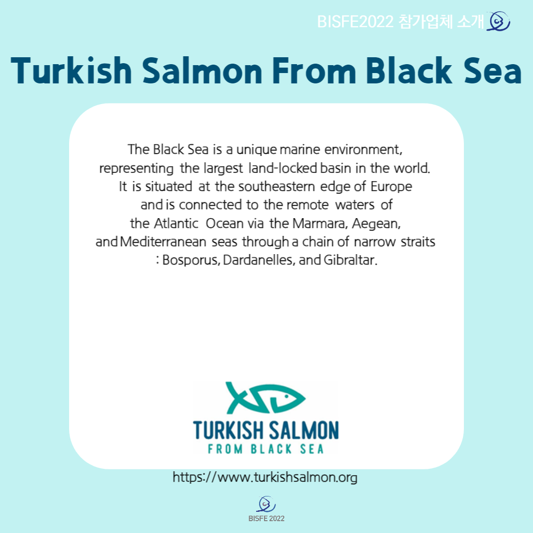 Turkish Salmon From Black Sea