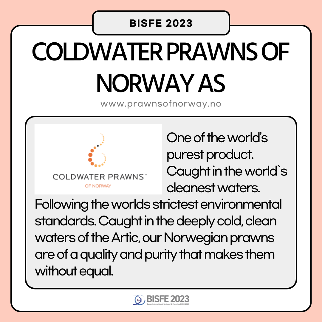 COLDWATER PRAWNS OF NORWAY AS